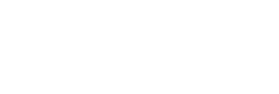 עמותה על שם רס״ן רועי צ׳אפל