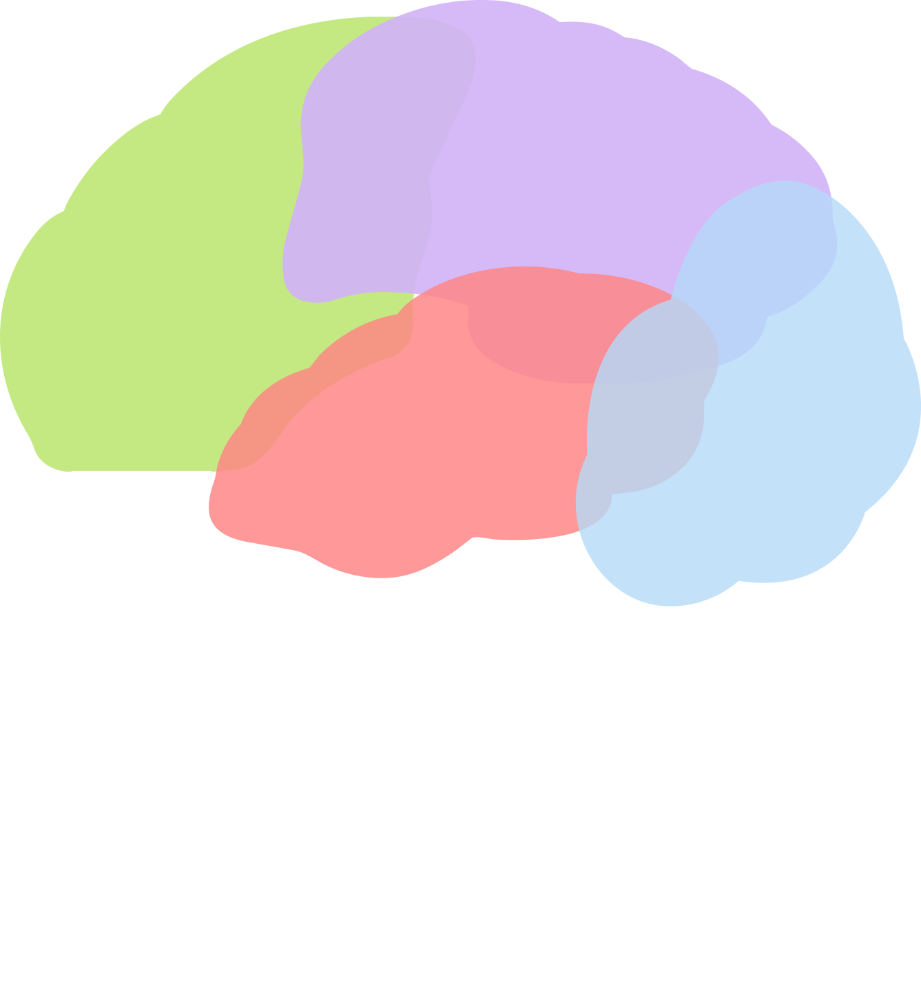 הגר״ביים של רועי